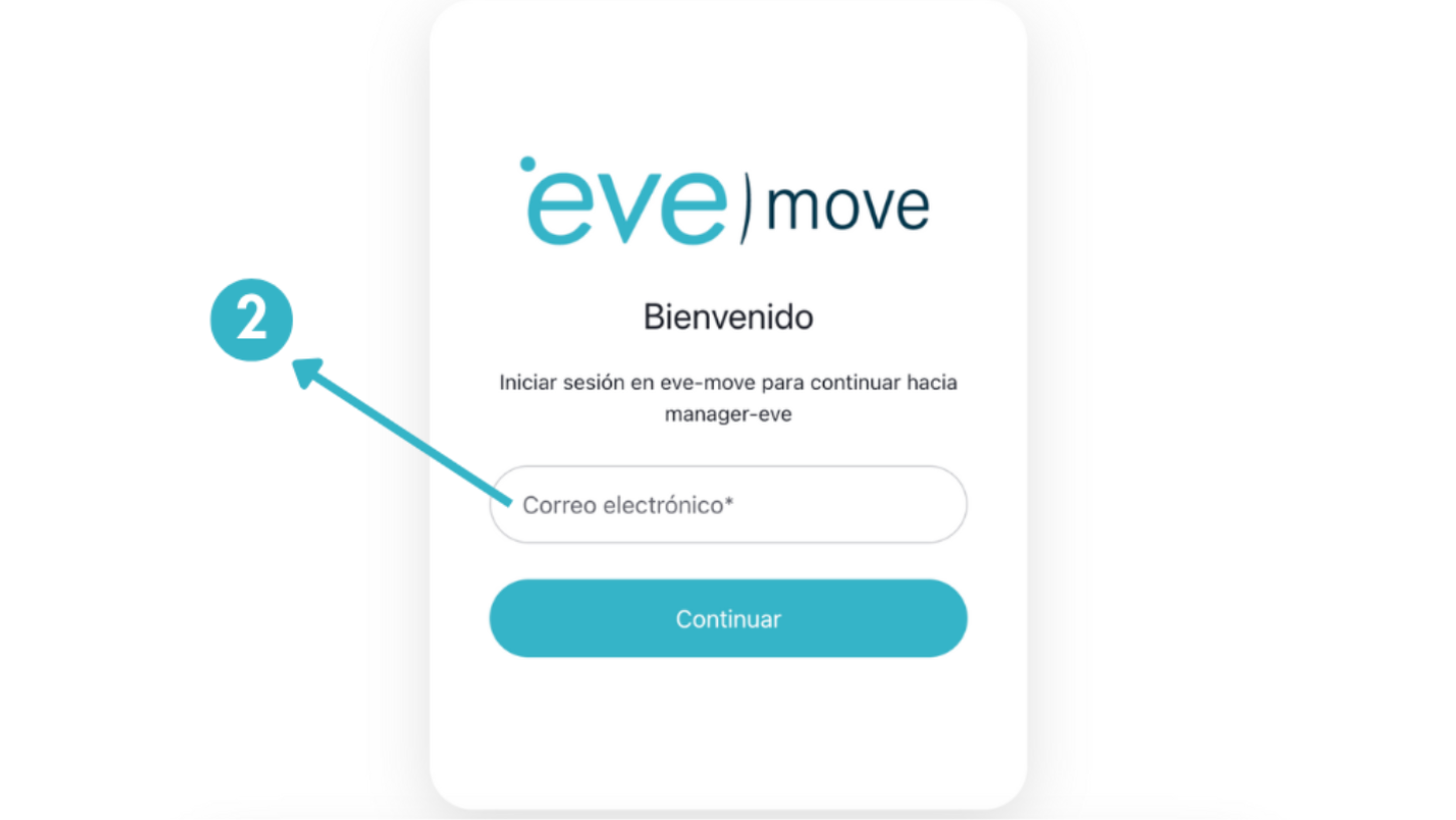 Pantalla de ingreso de correo electrónico para EVE Manager
