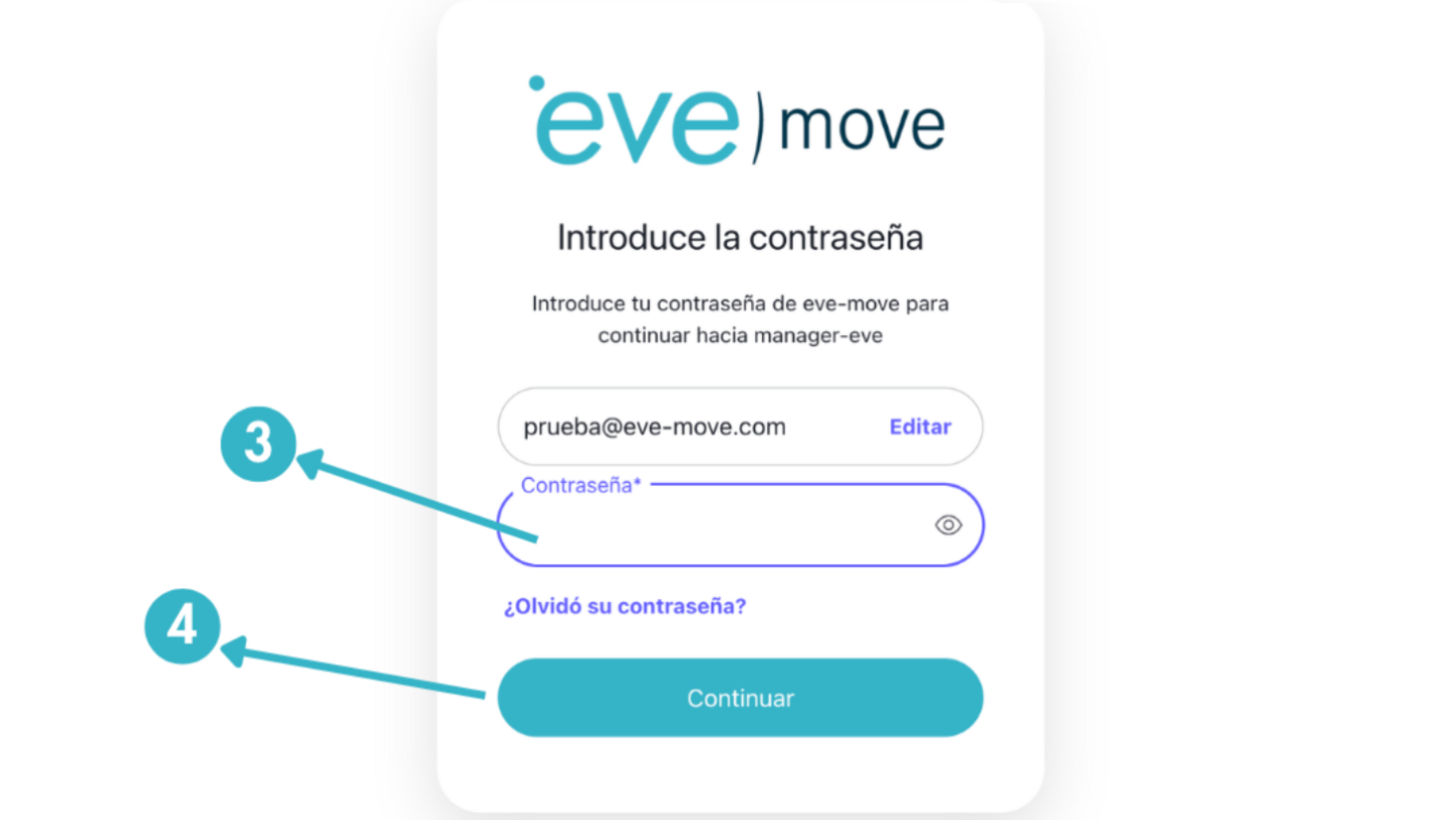 Pantalla de ingreso de contraseña para EVE Manager