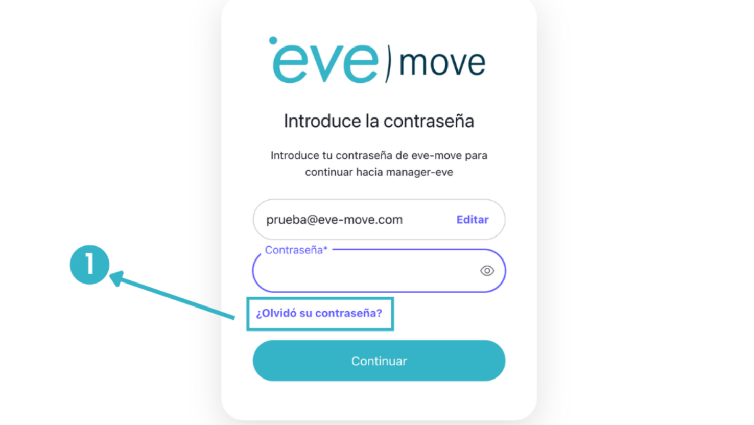 Opción para olvidar contraseña
